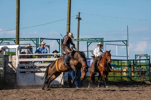 Rodeo Bronco Riding Pincher Creek Canada Czerwca 2019 — Zdjęcie stockowe