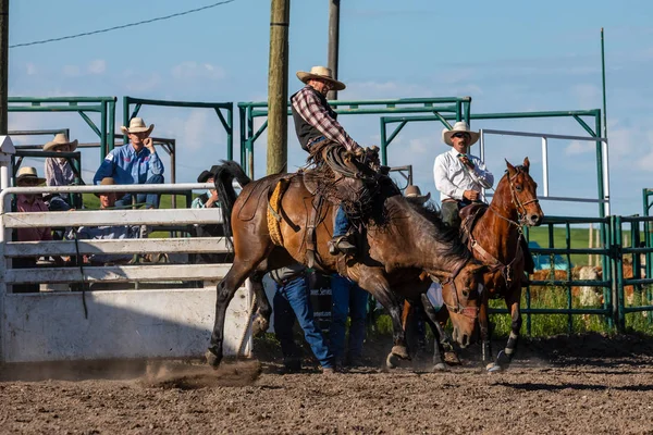 Rodeo Och Bronco Ridning Pincher Creek Canada Juni 2019 — Stockfoto
