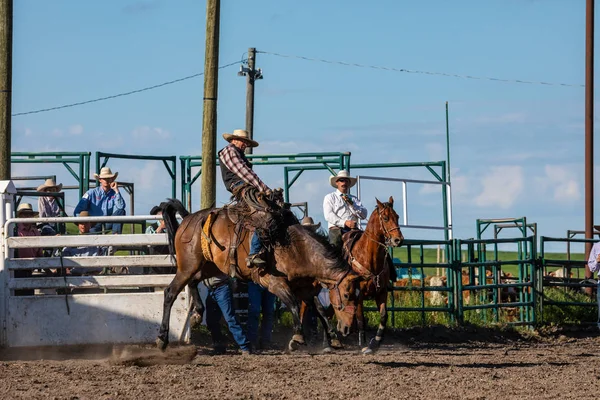 Rodeo Bronco Rijden Pincher Creek Canada Juni 2019 — Stockfoto