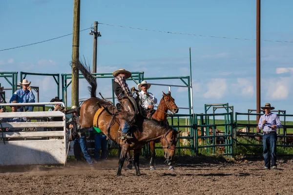 Rodeo Bronco Riding Pincher Creek Canada Июня 2019 — стоковое фото