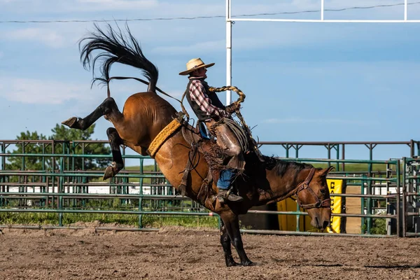 Rodeo Och Bronco Ridning Pincher Creek Canada — Stockfoto