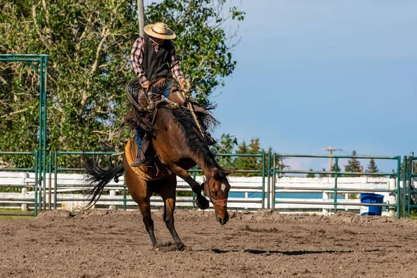 Rodéo Bronco Riding Pincher Creek Canada — Photo