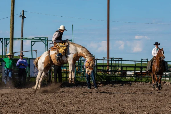 Rodeo Bronco Riding Pincher Creek Canada June 2019 — Stock Photo, Image