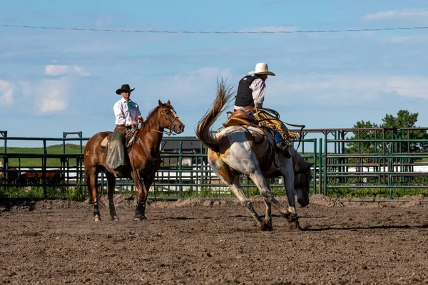 Rodeo Bronco Riding Pincher Creek Canada June 2019 — Stock Photo, Image