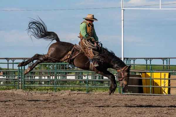 Rodeo Bronco Riding Pincher Creek Canada Czerwca 2019 — Zdjęcie stockowe