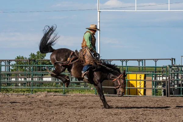 Rodeo Bronco Equitação Pincher Creek Canadá Junho 2019 — Fotografia de Stock