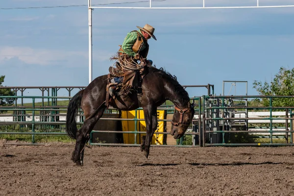 Rodeo Och Bronco Ridning Pincher Creek Canada Juni 2019 — Stockfoto