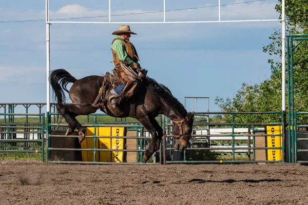 Rodeo Och Bronco Ridning Pincher Creek Canada Juni 2019 — Stockfoto