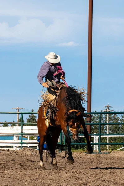 Rodeo Bronco Riding Pincher Creek Canada June 2019 — Stock Photo, Image