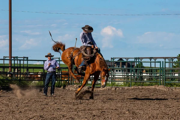 Rodéo Bronco Riding Pincher Creek Canada Juin 2019 — Photo