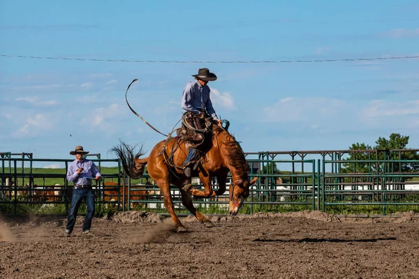 Rodeo Och Bronco Ridning Pincher Creek Canada Juni 2019 — Stockfoto