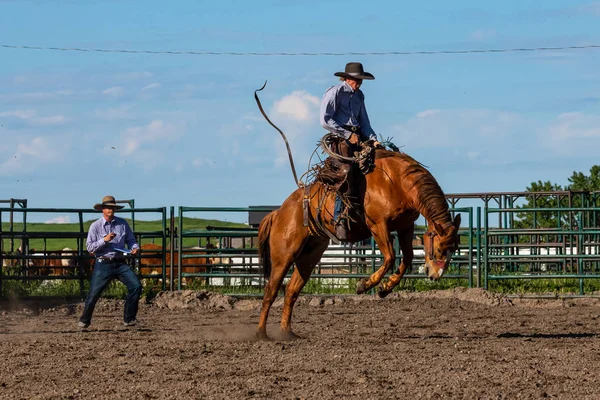 Rodeo Bronco Jezdecké Pincher Creek Kanada Červen 2019 — Stock fotografie