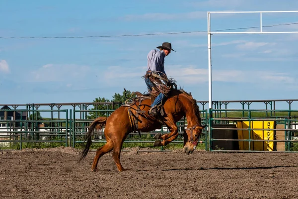 Rodeo Bronco Rijden Pincher Creek Canada Juni 2019 — Stockfoto