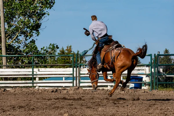 Rodeo Bronco Jízda Pincher Creek Kanada — Stock fotografie