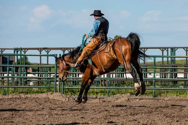 Rodeo Och Bronco Ridning Pincher Creek Canada Juni 2019 — Stockfoto