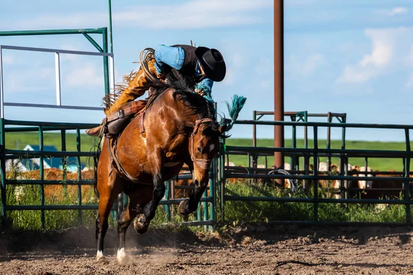 Rodeo Och Bronco Ridning Pincher Creek Canada — Stockfoto