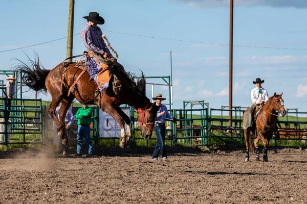 Rodeo Bronco Riding Pincher Creek Canada Czerwca 2019 — Zdjęcie stockowe