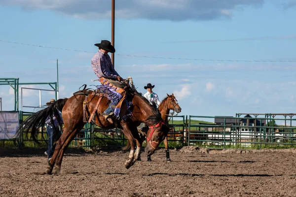 Rodeo Och Bronco Ridning Pincher Creek Canada Juni 2019 — Stockfoto