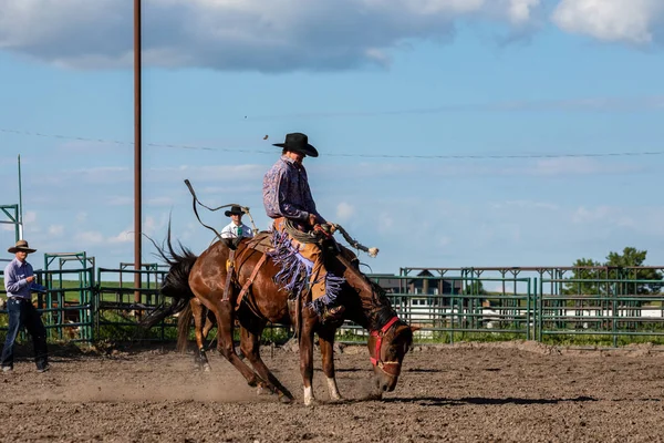 Rodeo Bronco Riding Pincher Creek Canada Czerwca 2019 — Zdjęcie stockowe