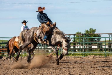 Rodeo ve Bronco Riding Pincher Creek Kanada'da, 16 Haziran 2019