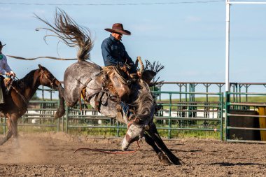 Rodeo ve Bronco Riding Pincher Creek Kanada'da, 16 Haziran 2019