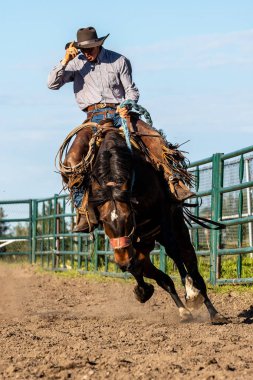 Rodeo ve Bronco Riding Pincher Creek Kanada'da, 16 Haziran 2019