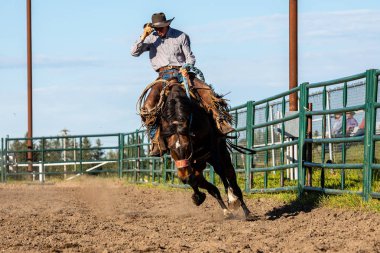Rodeo ve Bronco Pincher Creek Kanada'da Sürme