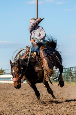 Rodeo ve Bronco Pincher Creek Kanada'da Sürme