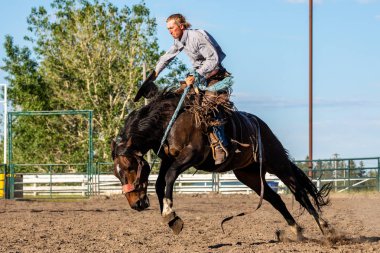 Rodeo ve Bronco Riding Pincher Creek Kanada'da, 16 Haziran 2019