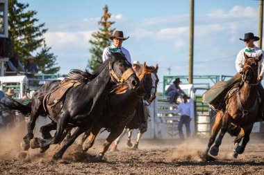 Rodeo ve Bronco Pincher Creek Kanada, 16 sürme. Haziran 2019