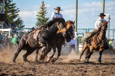 Rodeo ve Bronco Pincher Creek Kanada, 16 sürme. Haziran 2019