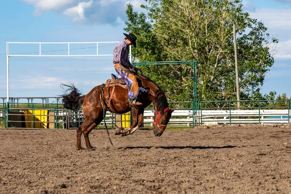 Родео Bronco Їзда Пінчер Крик Канада Червня 2019 — стокове фото