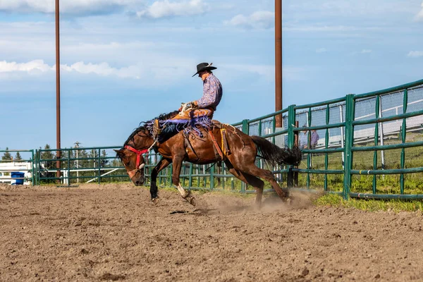 Rodeo Och Bronco Ridning Pincher Creek Canada Juni 2019 — Stockfoto