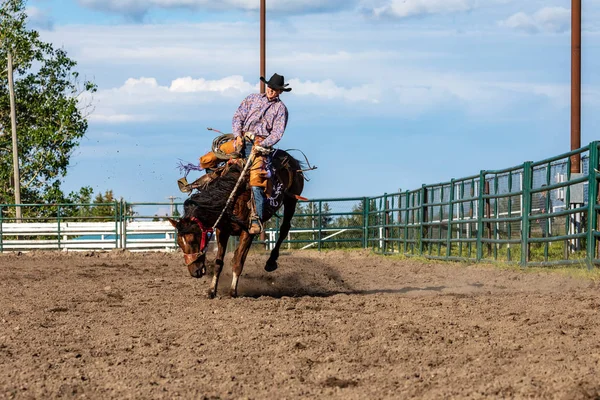 Rodeo Bronco Riding Pincher Creek Kanada Haziran 2019 — Stok fotoğraf