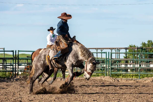 Rodeo Och Bronco Ridning Pincher Creek Canada Juni 2019 — Stockfoto