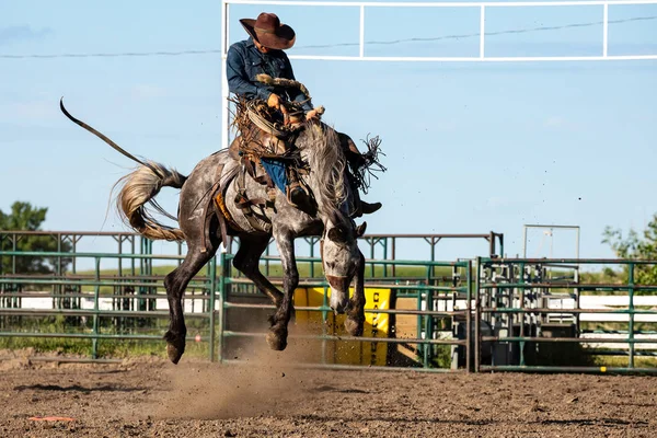 Rodeo Bronco Equitação Pincher Creek Canadá — Fotografia de Stock