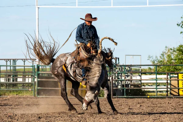 Rodeo Bronco Jezdecké Pincher Creek Kanada Červen 2019 — Stock fotografie