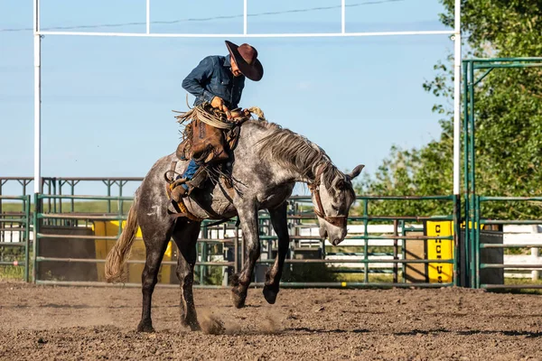 Rodeo Bronco Equitação Pincher Creek Canadá — Fotografia de Stock
