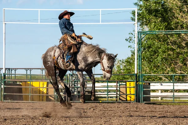 Rodéo Bronco Riding Pincher Creek Canada Juin 2019 — Photo