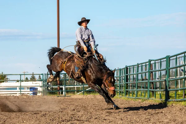 Rodéo Bronco Riding Pincher Creek Canada Juin 2019 — Photo