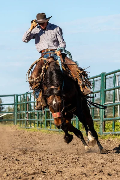 Rodeo Bronco Riding Pincher Creek Kanada Haziran 2019 — Stok fotoğraf