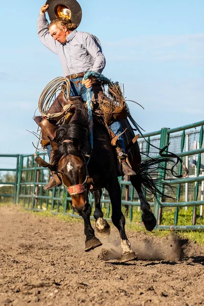 Rodeo Och Bronco Ridning Pincher Creek Canada Juni 2019 — Stockfoto