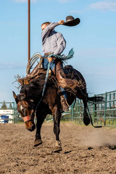 Rodeo Och Bronco Ridning Pincher Creek Canada — Stockfoto