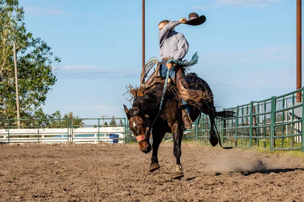 Rodeo Bronco Rijden Pincher Creek Canada Juni 2019 — Stockfoto