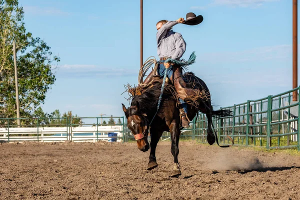 Rodeo Bronco Jezdecké Pincher Creek Kanada Červen 2019 — Stock fotografie