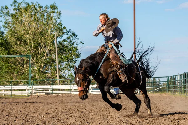 Rodeo Och Bronco Ridning Pincher Creek Canada Juni 2019 — Stockfoto