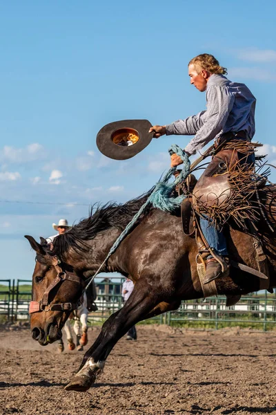 Rodeo Och Bronco Ridning Pincher Creek Canada Juni 2019 — Stockfoto