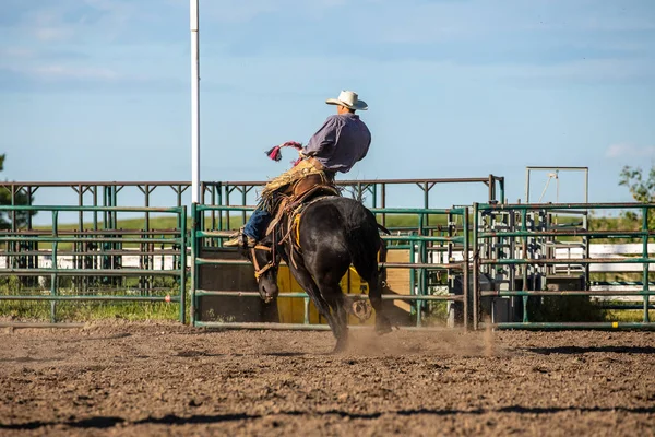 Rodeo Och Bronco Ridning Pincher Creek Canada Juni 2019 — Stockfoto