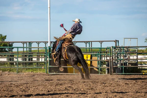 Rodeo Bronco Riding Pincher Creek Canada Июня 2019 — стоковое фото