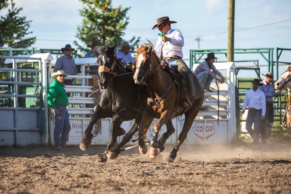 Rodeo Bronco Pincher Creek Canada Anni Giugno 2019 — Foto Stock